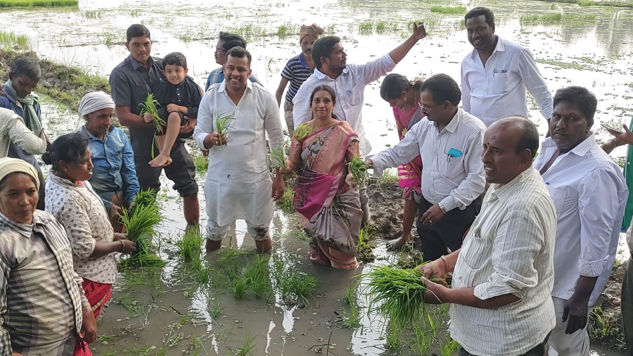 Konaseema: కుమారుడికి సాగు విధానాలను నేర్పించిన జిల్లా కలెక్టర్.. స్వయంగా వరి నాట్లు వేసి..