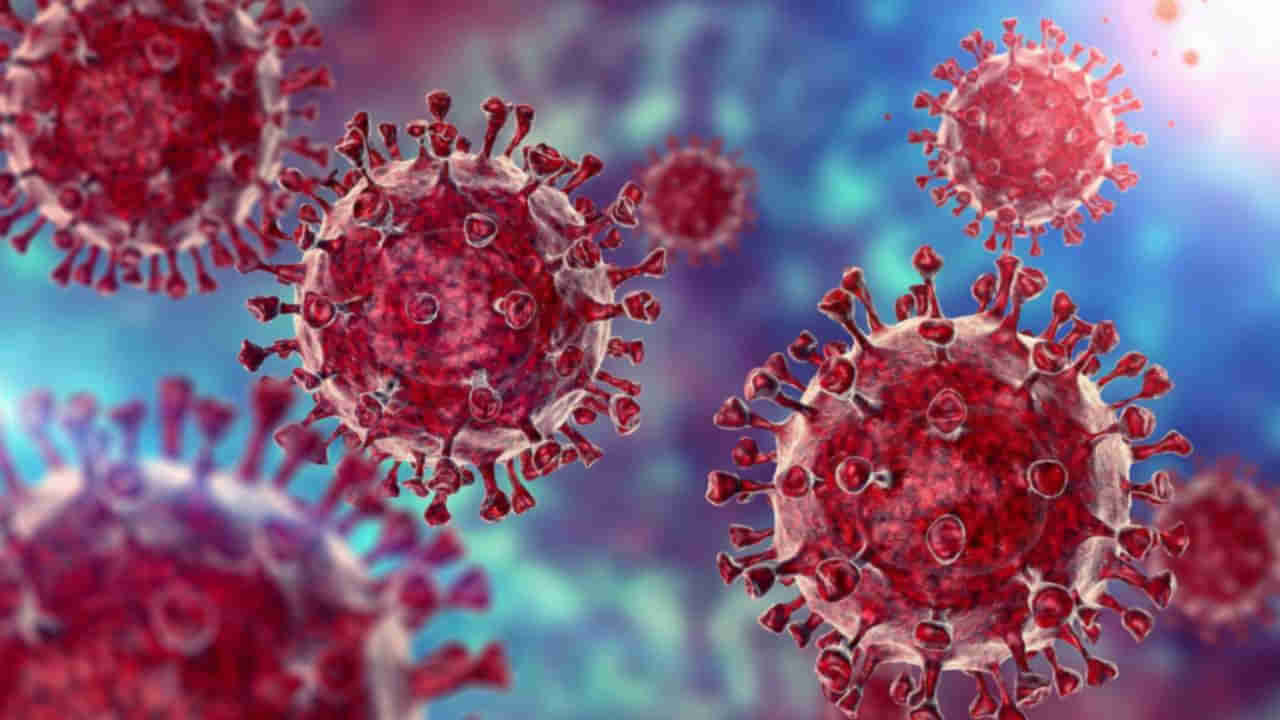 Coronavirus: ‘కరోనా సబ్ వేరియంట్ BF7 కొత్తదేం కాదు’.. కీలక ప్రకటన చేసిన భారత ఆరోగ్య నిపుణులు..