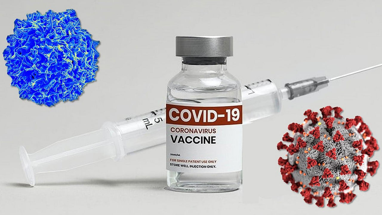 Coronavirus vaccine: ఆ కోవిడ్ టీకాలను వెంటనే ఆపేయాలి.. దాని కారణంగా ఎన్ని ప్రమాదాలో తెలుసా! పరిశోధకులు చెబుతున్న అంశాలివి..