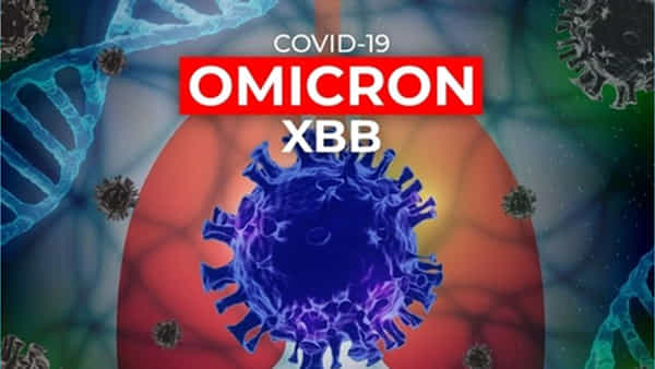 Covid 19 XXB 1.5: గుజరాత్లో మరో ‘సూపర్ వేరియంట్’.. మిగిలిన వాటి కంటే 120 రెట్ల వేగంగా వ్యాప్తి.. వివరాలివే..