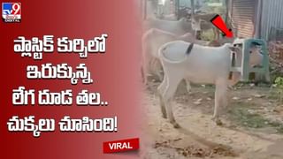 బైక్ మీద వెళ్తున్న దొంగను పట్టుకోవడానికి పోలీసు సాహసం !! తెగువను చూసి నెటిజన్లు ఫిదా !!