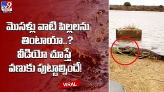 ఒక్క మాట అన్న లెక్చరర్‌ను కడిగి పారేసిన విద్యార్థి !! ధైర్యానికి ఫిదా అయిపోతున్న నెటిజన్లు