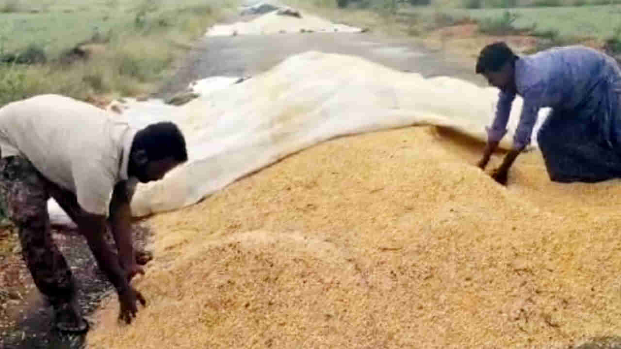 సేంద్రీయ వ్యవసాయదారులకు గుడ్‌ న్యూస్.. ఇక సులభంగా మీ పంటను ఎలా అమ్ముకోవచ్చో తెలుసుకోండి..