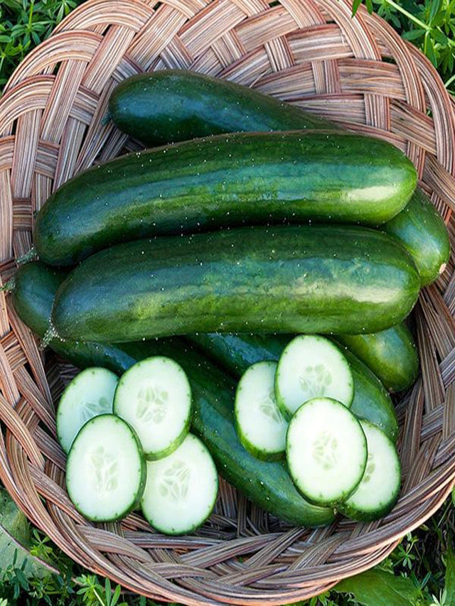 Cucumber Benefits హాట్ సమ్మర్‪లో చిల్ అవ్వాలంటే దీనిని రుచి