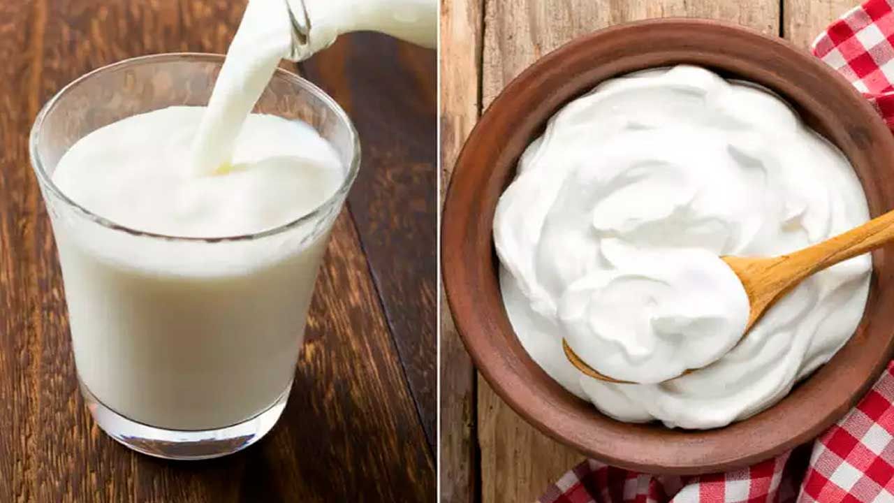 Curd vs Buttermilk: పెరుగు, మజ్జిగలో ఇన్ని తేడాలు ఉన్నాయా? మరి ఏది ఆరోగ్యానికి చాలా మంచిది..