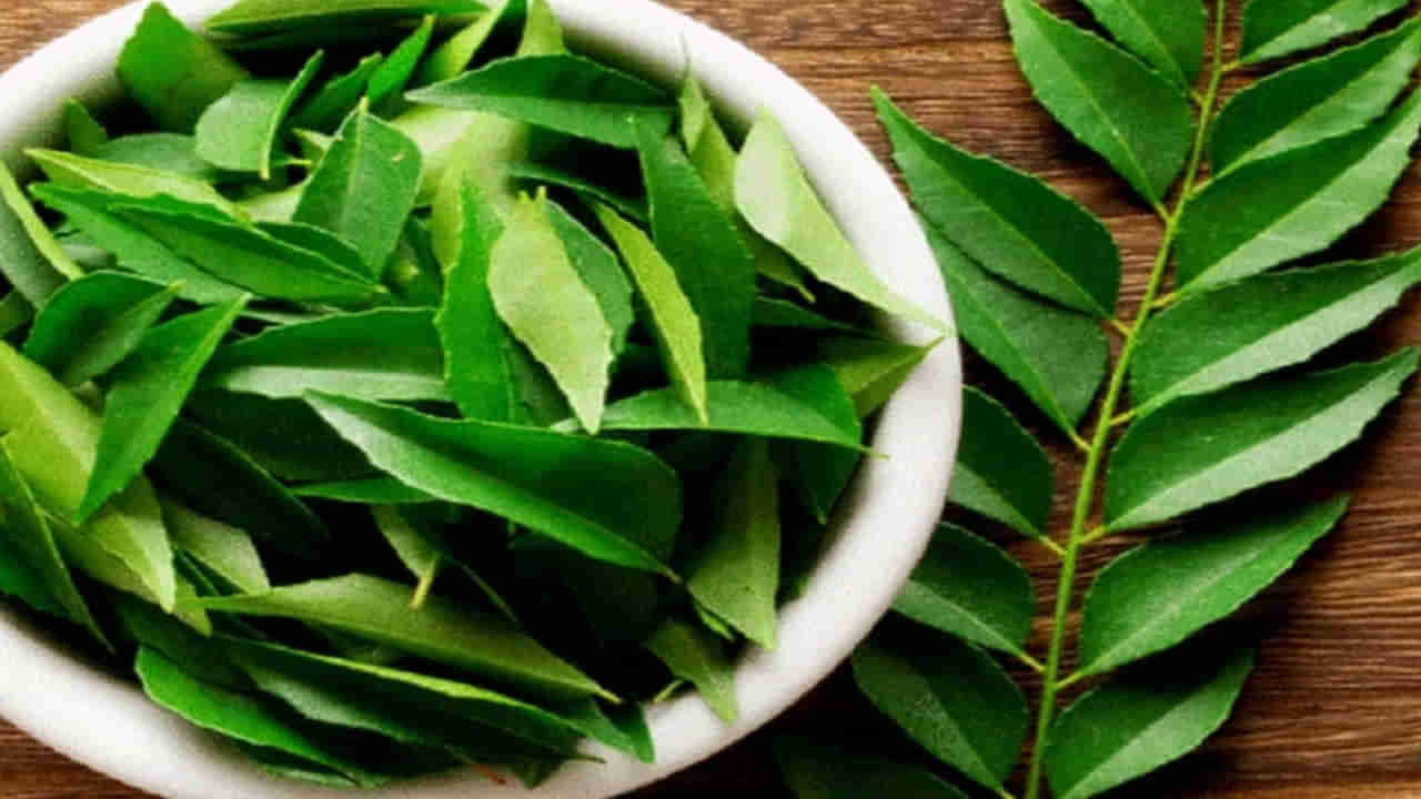 Curry Leaves Benefits: ఖాళీ కడుపుతో కరివేపాకు తింటే కలిగే అద్భుతమైన ఫలితాలు తెలుసా.! ఈ 5 వ్యాధులు పరార్..!!