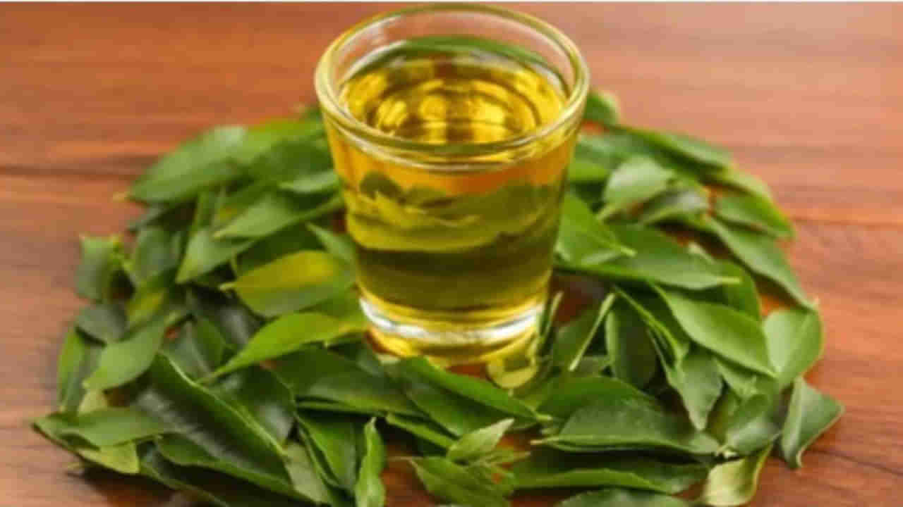 Curry Leaves Tea: మీరు ఎప్పుడైనా కరివేపాకు టీ తాగారా?.. తాగకుంటే వెంటనే ట్రై చేయండి.. లేకుంటే చాలా మిస్ అవుతారు..