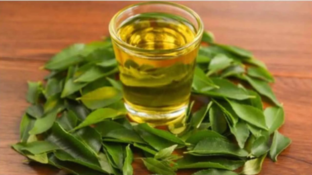 Curry Leaves Tea: మీరు ఎప్పుడైనా కరివేపాకు టీ తాగారా?.. తాగకుంటే వెంటనే ట్రై చేయండి.. లేకుంటే చాలా మిస్ అవుతారు..