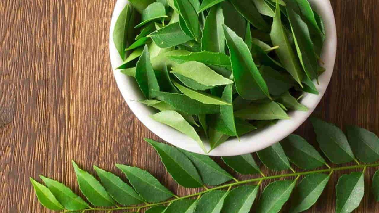 Curry Leaves Benefits: ఉదయం నిద్రలేచిన వెంటనే కరివేపాకుతో ఇలా చేయండి.. రోగాలన్నీ పరార్..