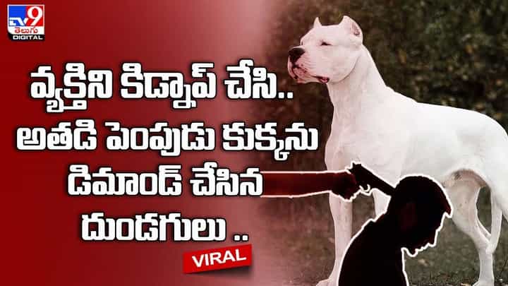 వ్యక్తిని కిడ్నాప్ చేసి.. అతడి పెంపుడు కుక్కను డిమాండ్ చేసిన దుండగులు వ్యక్తిని కిడ్నాప్ చేసి.. అతడి పెంపుడు కుక్కను డిమాండ్ చేసిన దుండగులు
