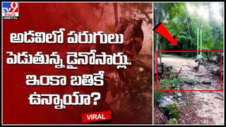 Veterinary Hospital: పశువుల ఆసుపత్రిని ముట్టడించిన మూగ జీవాలు..! ఎందుకో తెలిస్తే షాక్ అవుతారు..