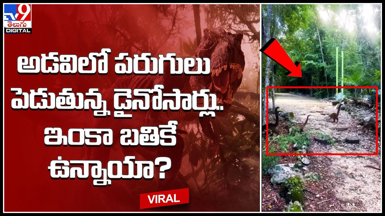 Dinosaurs in Jungle అడవిలో పరుగులు పెడుతున్న డైనోసార్లు.. ఇంకా బతికే