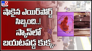 Molestation Murder: కాబోయే భార్యపై అత్యాచారం.. ఆపై ఆత్మహ‌త్య.! ఎందుకంటే..