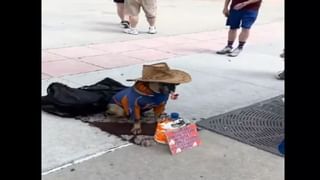 Viral Video: మెట్రోలో పర్ఫెక్ట్ సెల్ఫీ కోసం నానా తంటాలు.. హార్ట్ టచ్ చేస్తోన్న వీడియో..