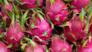 Cardamom Uses: మీకు తెలుసా..? ఏలకులతో ఇన్నిరకాల ప్రయోజనాలు ఉన్నాయని..? తప్పక తెలుసుకోండి..