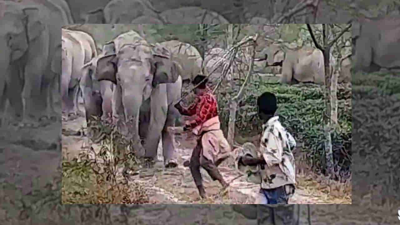 Watch Video: నన్ను కొడితే నేను ఊరుకుంటానా..? అంటూ కుర్రాడి వెంటపడుతున్న గజరాజు.. నెట్టింట వైరల్ అవుతున్న వీడియో మీ కోసం..