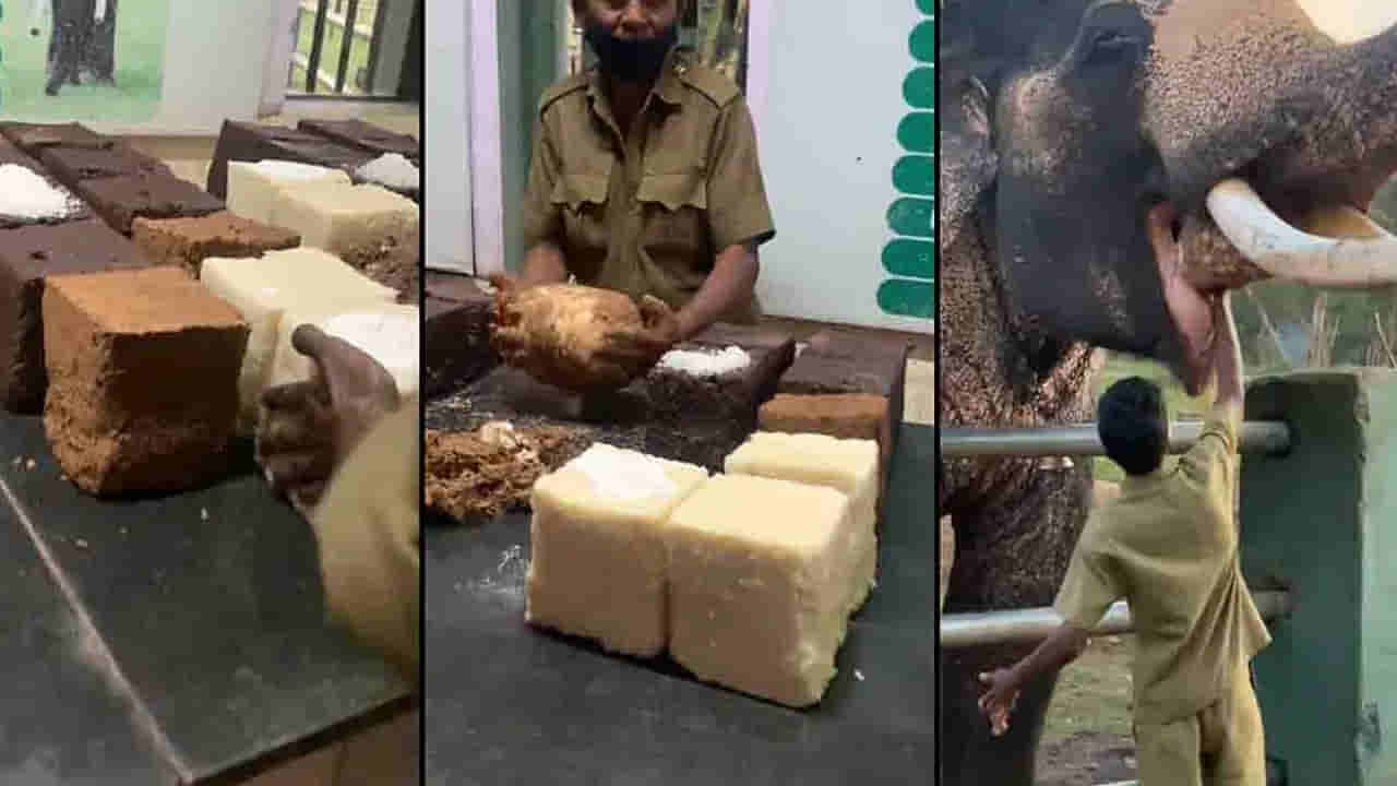 Kitchen for Elephant: ఎలిఫెంట్‌ రెస్టారెంట్‌.. పసందైన విందుకోసం ఇక్కడికి రండి..!