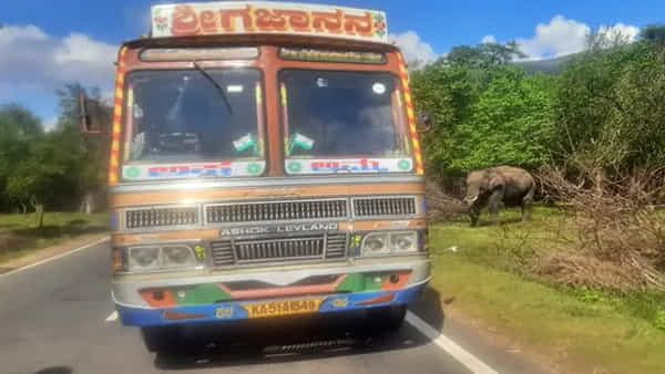 Lorry driver: జాతీయ రహదారిపై ఏనుగుకు చెరకు వేసిన లారీ డ్రైవర్ కు రూ. 75 వేల. జరిమానా..! ఎక్కడంటే..