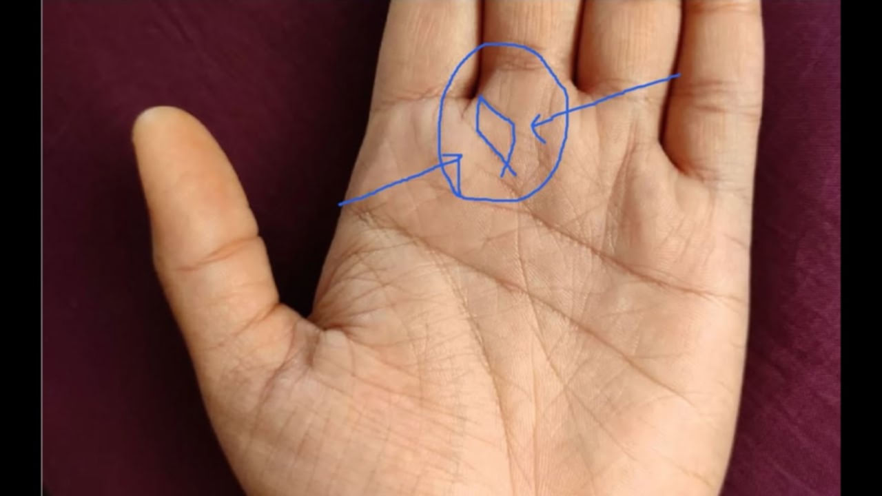 Palmistry: మీ చేతిలో చేప గుర్తు ఉందా..? అయితే హస్తసాముద్రిక జ్యోతిష్య శాస్త్రం ఏం చెబుతుందో తెలుసుకోండి..