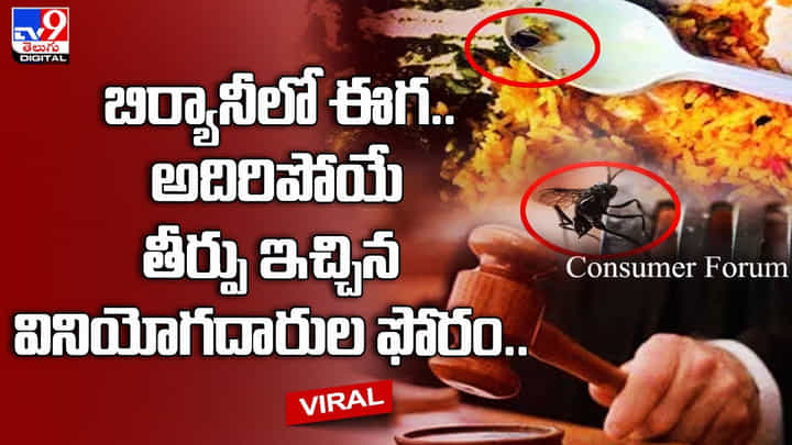 బిర్యానీలో ఈగ.. అదిరిపోయే తీర్పు ఇచ్చిన వినియోగదారుల ఫోరం బిర్యానీలో ఈగ.. అదిరిపోయే తీర్పు ఇచ్చిన వినియోగదారుల ఫోరం