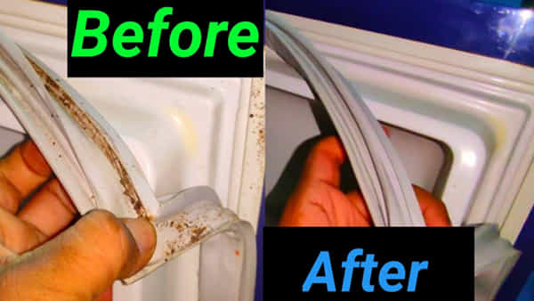 Fridge Cleaning Tips: ఫ్రిడ్జ్ డోర్లోని రబ్బరు మురికిగా మారిందా?.. చిటికెలో ఇలా శుభ్రం చేయండి.. కొత్తగా మెరుస్తుంది