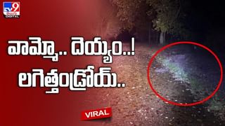 Viral Video: వధూవరుల మధ్య రొమాంటిక్‌ సీన్‌.. కట్ చేస్తే బెడిసి కొట్టింది.. దెబ్బకు అందరూ షాక్..