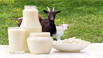 Goat Milk Benefits: మేక పాలు ఈ ప్రాణాంతక వ్యాధికి దివ్యౌషధం.. లాభాలు తెలిస్తే షాక్ అవుతారు!