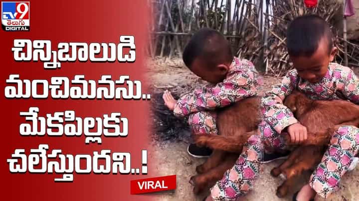 చిన్నిబాలుడి మంచిమనసు.. మేకపిల్లకు చలేస్తుందని ఏం చేసాడంటే ?? చిన్నిబాలుడి మంచిమనసు.. మేకపిల్లకు చలేస్తుందని ఏం చేసాడంటే ??