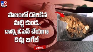 ఏం గుండె ధైర్యం.. పెద్ద సింహాన్నే ముద్దాడాడు.. షాకింగ్ వీడియో