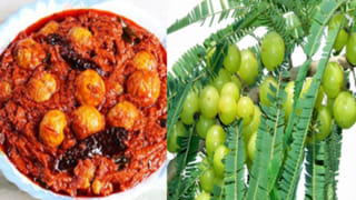 Bitter Gourd Pickle: ఆంధ్రాస్టైల్ లో టేస్టీ టేస్టీ కాకరకాయ నిల్వ పచ్చడి రెసిపీ మీ కోసం..