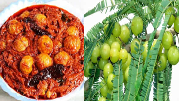 Amla Side Effects: ఈ వ్యాధులతో బాధపడేవారు పొరపాటున కూడా ఉసిరి తినవద్దు.. ఎందుకంటే
