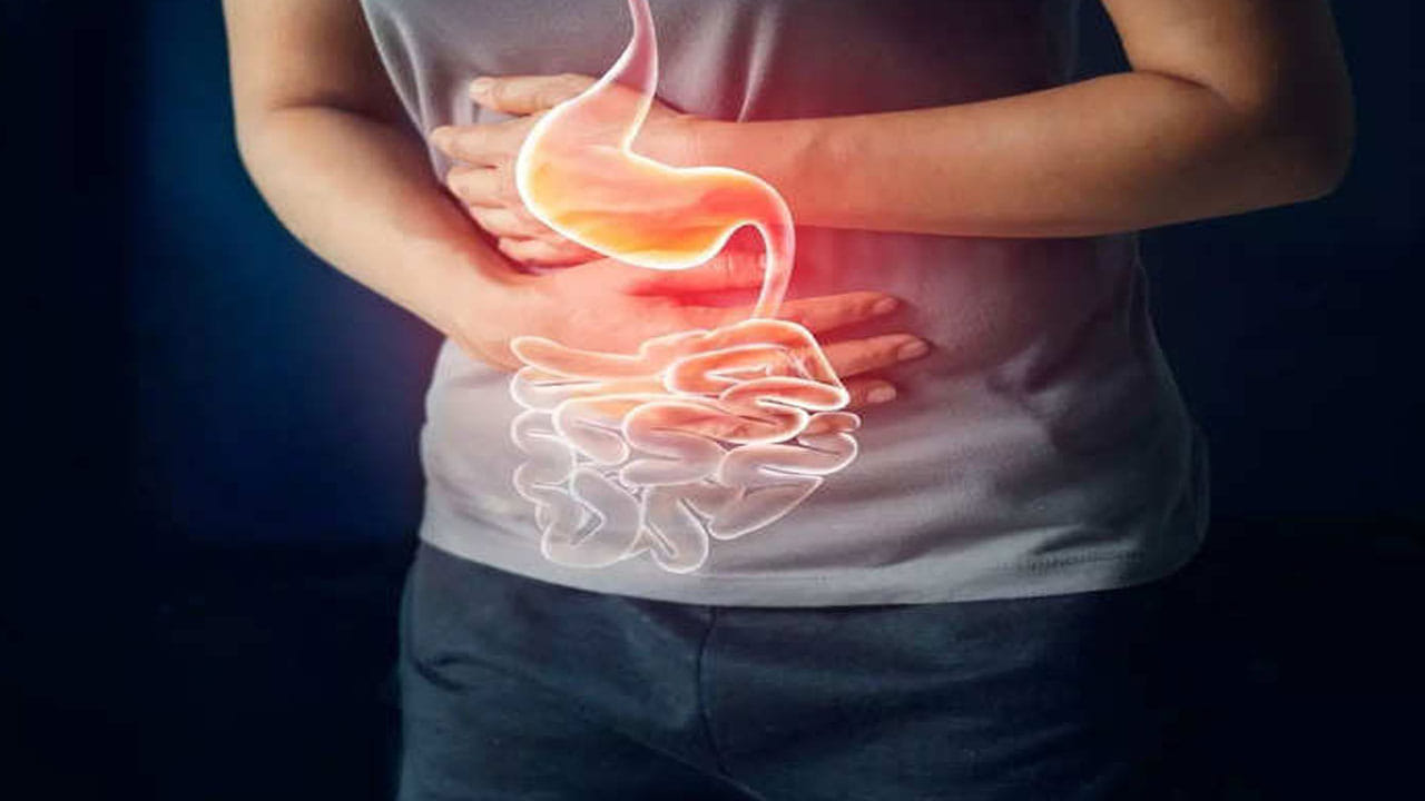 Gut Health: పేగు ఆరోగ్యం కోసం పెరుగన్నం తినాల్సిందే.. ఎన్ని రకాల ప్రయోజనాలో తెలుసా..?