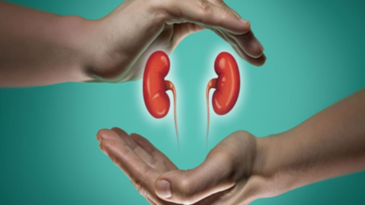 Healthy Kidney: చిరకాలం వరకు మీ కిడ్నీ ఆరోగ్యంగా ఉండాలంటే.. ఈ అలవాట్లు తప్పనిసరి చేసుకోండి..!