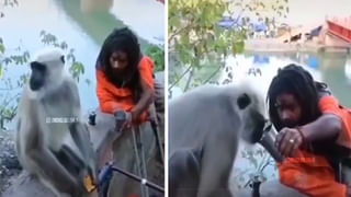 శీతాకాలం వచ్చిందంటే చాలు.. ఈ జూలో జంతువులకు స్పెషల్ అరేంజ్ మెంట్స్.. మామూలుగా ఉండవు మరి