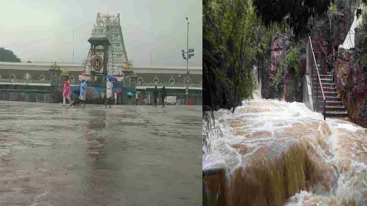 Tirumala Rains: తిరుమలలో భారీ వర్షాలు.. విరిగిపడుతున్న కొండచరియలు.. కొండపైకి బైక్ పై తాత్కాలిక నిషేధం