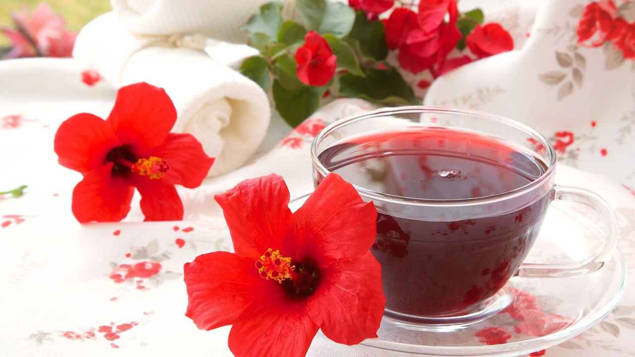 Hibiscus Tea: చలికాలంలో ఇలాంటి మందార టీ ఆరోగ్యానికి వరం.. తప్పక ట్రై చేయండి..