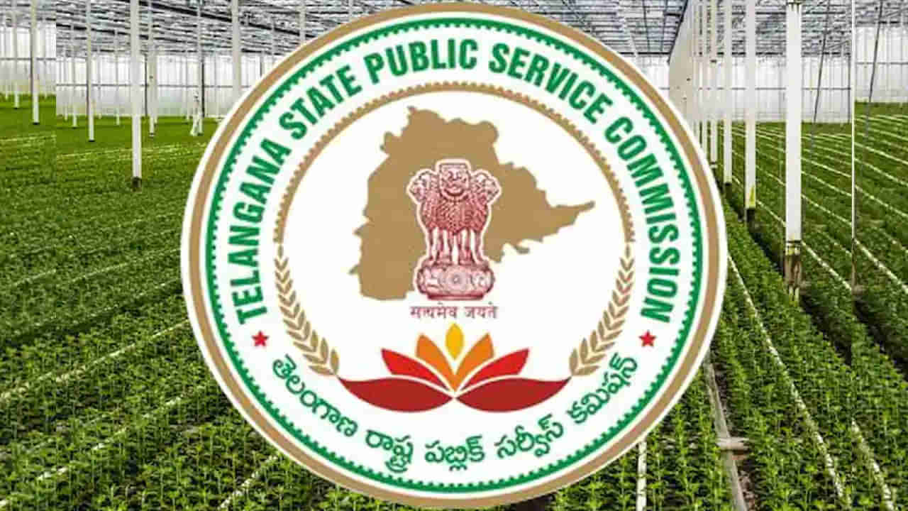 TSPSC Jobs: డిగ్రీ అర్హతతో ప్రభుత్వ ఉద్యోగం.. నెలకు రూ. లక్షకు పైగా జీతం పొందే అవకాశం.