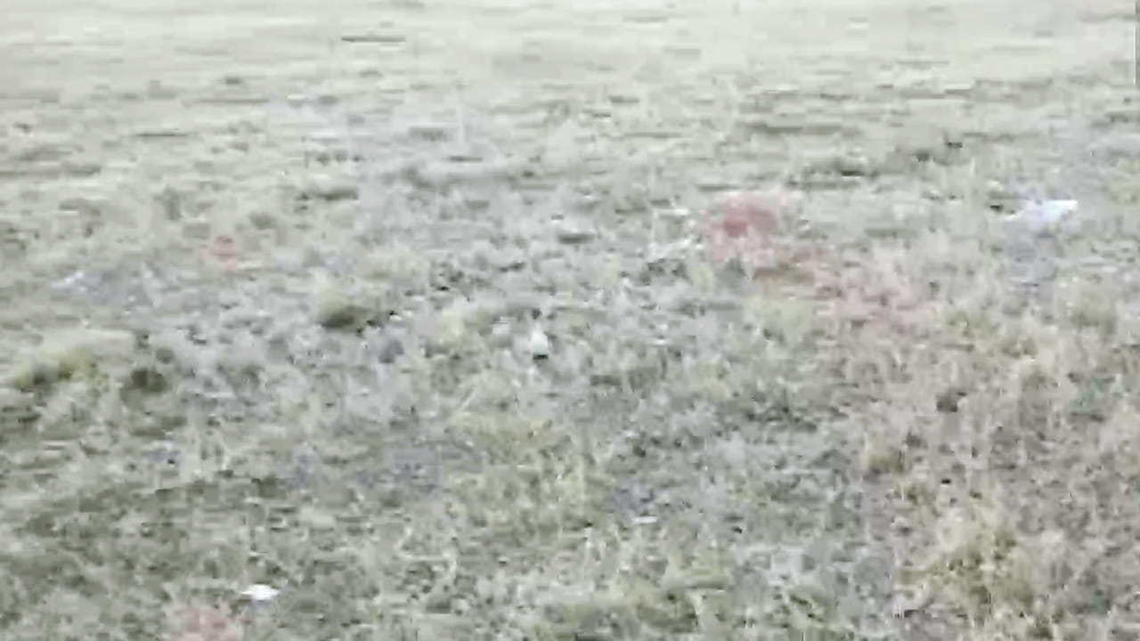 పర్యాటక ప్రాంతం కావడంతో ఇక్కడి వాతావరణాన్ని ఆస్వాదించడానికి ఎంతో మంది సందర్శకులు ఇక్కడికి వస్తూ ఉంటారు. ప్రస్తుతం ఉదయం సమయంలో ఉష్ణోగ్రతలు తక్కువుగా ఉండటంతో రూములకే పరిమితమై.. ఉష్ణోగ్రతలు గరిష్టస్థాయికి చేరుకున్న తర్వాత బయటకు వస్తున్నారు. మౌంట్ అబూ వద్దకు చేరుకున్న కొంతమంది పర్యాటకులు అయితే చల్లని వాతావరణాన్ని ఆస్వాదిస్తూ హిల్ స్టేషన్‌లో  అందాలను వీక్షిస్తున్నారు.