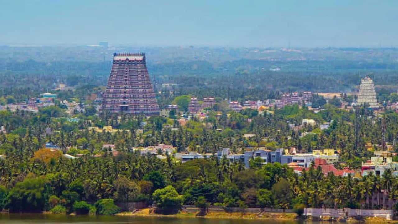 శ్రీరంగం ద్వీపం: ఇది తిరుచిరాపల్లి నగరంలోని ఒక ద్వీపం.  కావేరీ, కొల్లిధాం నదులచే ఏర్పడిన ఈ ద్వీపం నదీ ద్వీపంగా పిలువబడుతుంది.  ద్వీపం మధ్యలో ఉన్న ఈ నగరం ఒక ముఖ్యమైన హిందూ-వైష్ణవ తీర్థయాత్ర కేంద్రం.