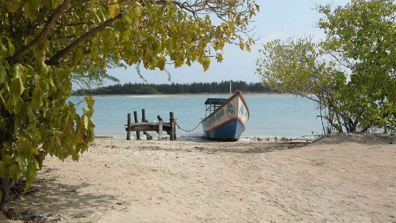 కురుసదై ద్వీపం గల్ఫ్ ఆఫ్ మన్నార్లోని అందమైన కానీ జనావాసాలు లేని ద్వీపం. పాంబన్ ద్వీపానికి దక్షిణంగా ఉన్న ఈ ద్వీపంలో చాలా సముద్ర జీవులు ఉన్నాయి. మీరు గ్లాస్-బాటమ్ బోట్ల ద్వారా సముద్ర జీవితాన్ని చూడవచ్చు.