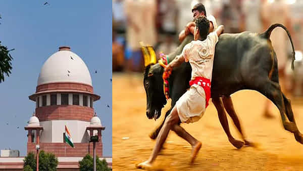 Jallikattu: ఈ ఏడాది జల్లి కట్టు నిర్వహణపై సందిగ్దత.. నిషేధం విధించాలంటున్న పెటా.. తమ సంప్రదాయాన్ని వేరుచేస్తే ఊరుకోమంటున్న తమిళులు