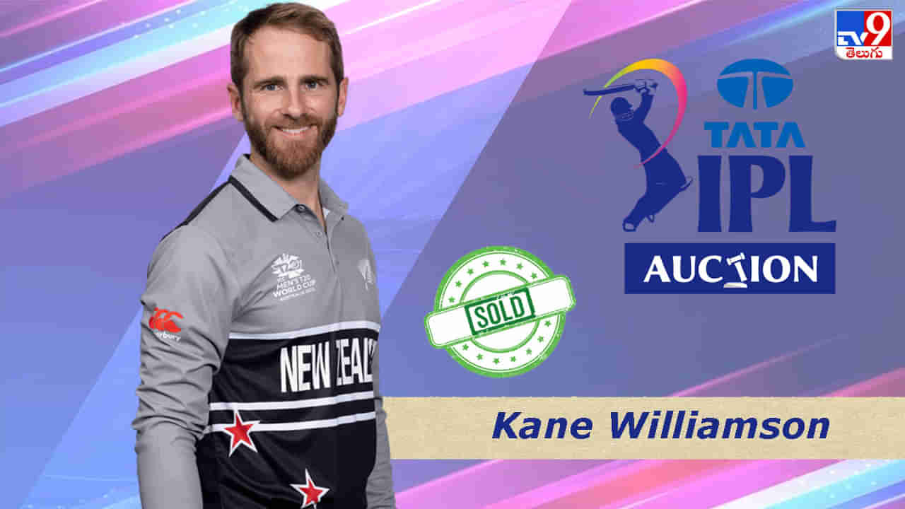 Kane Williamson IPL 2023 Auction: హైదరాబాద్ వద్దంది.. గుజరాత్ రమ్మన్నది.. హార్దిక్ బ్యాకప్‌గా కేన్ మామ