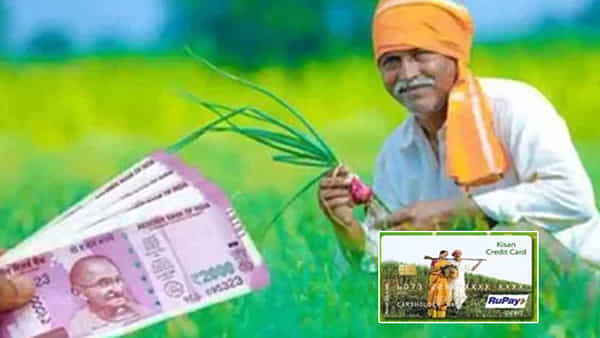 Kisan Credit Card: రైతులకు వరం కిసాన్ క్రెడిట్ కార్డ్.. ఇలా చేస్తే అతి తక్కువ వడ్డీకే రూ.3 లక్షల వరకు రుణం..