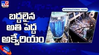 Viral Video: దేశం కోసం గాడిదలా పని చేస్తున్నా.. తనను తాను గాడిదతో పోల్చుకున్న పాక్ విదేశాంగ మంత్రి భుట్టో