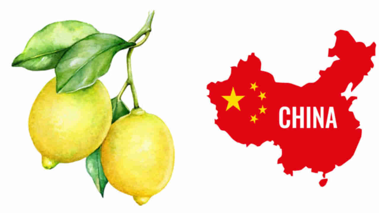 Covid 19: నిమ్మకాయలపై కన్నేసిన ‘డ్రాగన్’ దేశం.. అదే కారణమంటున్న చైనా రైతులు..