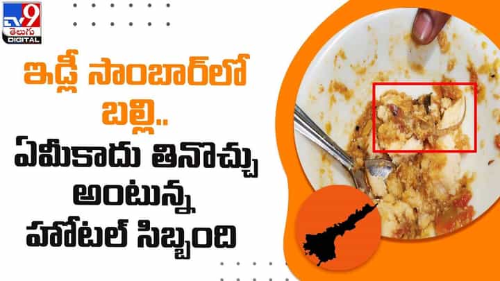 ఇడ్లీ సాంబార్లో బల్లి.. ఏమీకాదు తినొచ్చు అంటున్న హోట్ సిబ్బంది ఇడ్లీ సాంబార్లో బల్లి.. ఏమీకాదు తినొచ్చు అంటున్న హోట్ సిబ్బంది