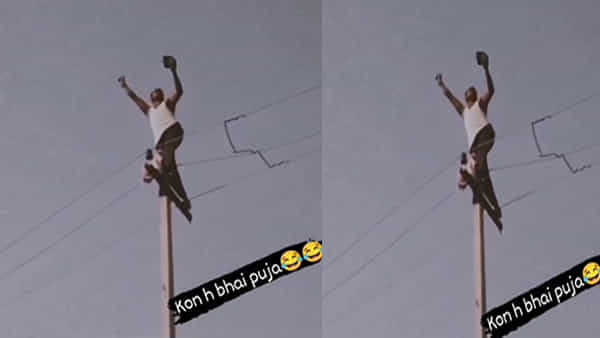 Viral Video: ఓరి నీ ప్రేమ బంగారం కానూ.. ప్రపోజ్ చేసేందుకు ఏకంగా కరెంట్ స్తంభం ఎక్కేశాడు.. కానీ..