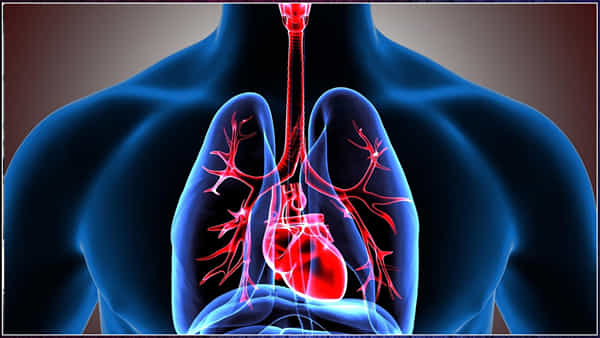 Lungs Problem: తరచూ దగ్గుతో బాధపడుతున్నారా? తస్మాత్ జాగ్రత్త.. ఊపిరితిత్తుల సమస్యకు సంకేతం కావచ్చు