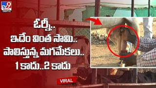 పొలంలో దొరికిన మట్టి కుండ.. దాన్ని ఓపెన్ చేయగా కళ్లు జిగేల్