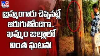 Trending Video: జనావాసం లేని ఇంట్లో.. ఊహించని అతిథులు.. చూస్తే గుండెలు అదరాల్సిందే..